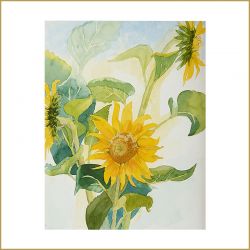Sonnenblumen, Aquarell, 2008