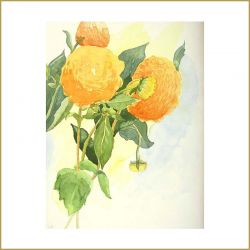 Dahlien, Aquarell, 2008