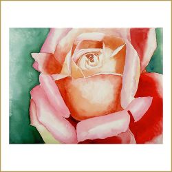 Rose, Aquarell, 2008